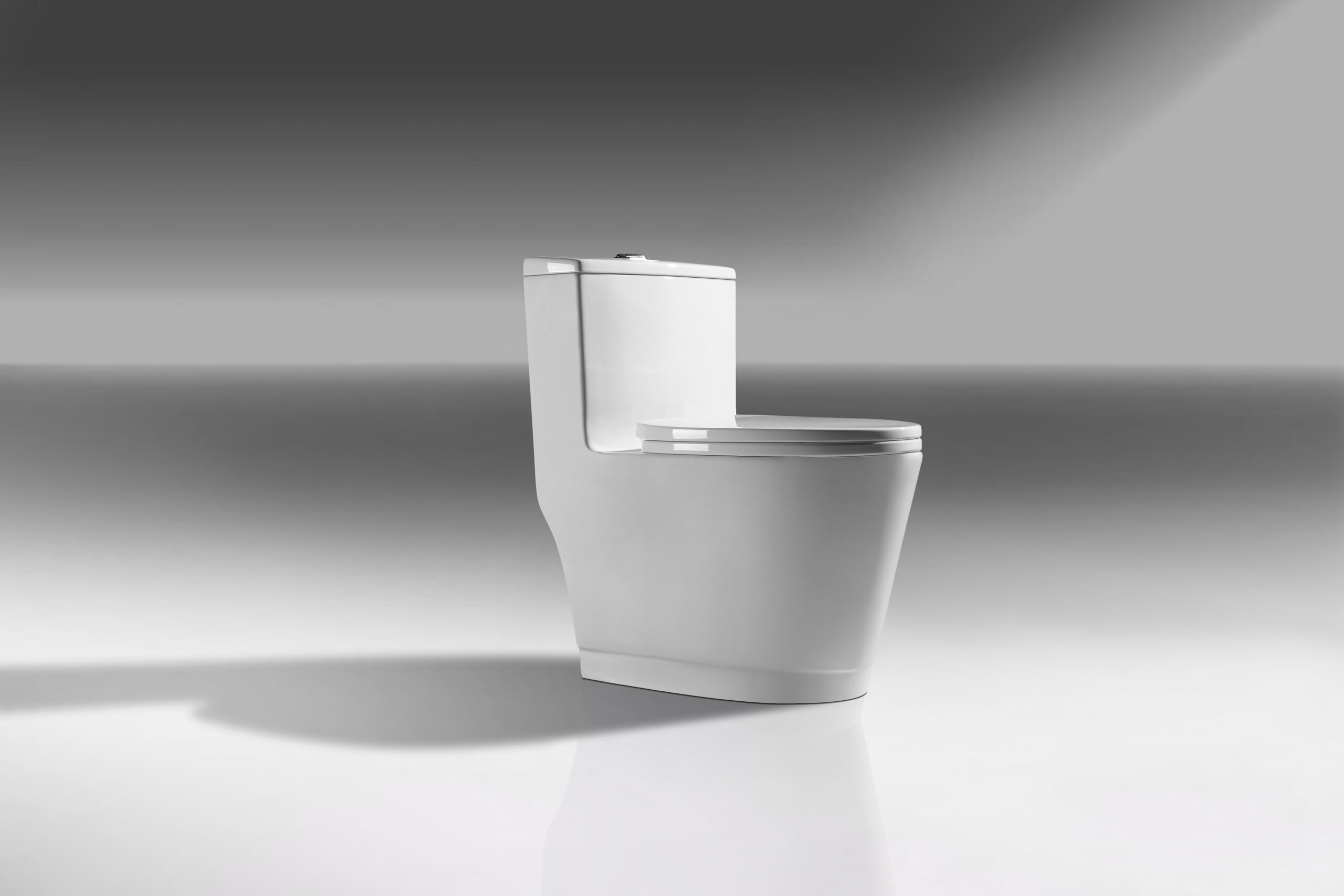 bệt vệ sinh cao cấp bệt vệ sinh cao cấp